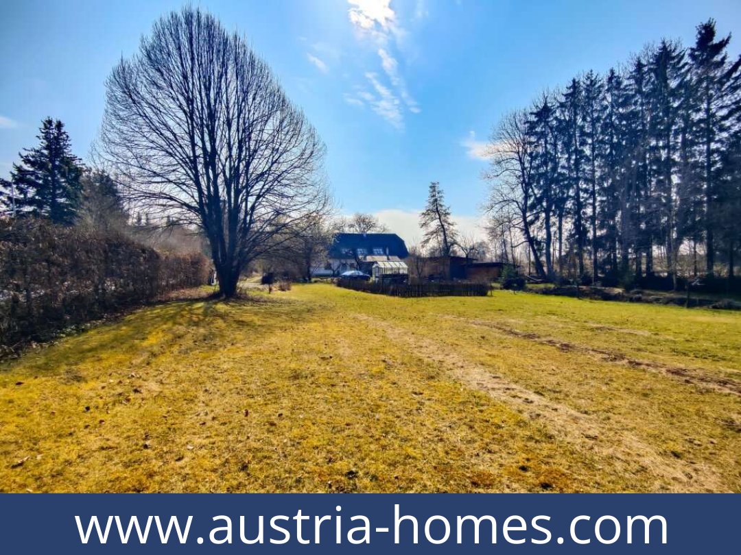 austria-homes-kirchberg an der wild-3811-20250921031746-0025901002.jpg